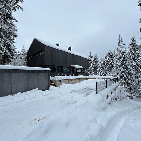Chalet Dachstein Ramsau am Dachstein Exteriér fotografie