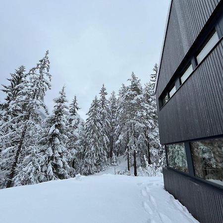Chalet Dachstein Ramsau am Dachstein Exteriér fotografie